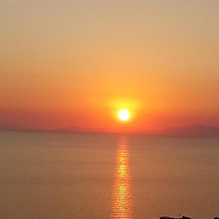 B&B Stella Del Cilento Di Anna Botti Agropoli Dış mekan fotoğraf