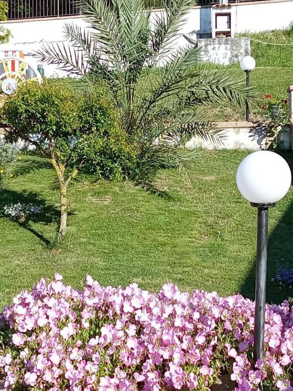B&B Stella Del Cilento Di Anna Botti Agropoli Dış mekan fotoğraf